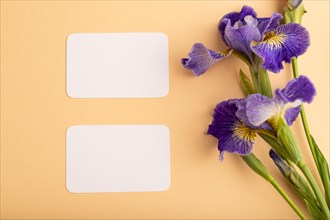 White business card with blue iris flowers on orange pastel background. top view, flat lay, copy