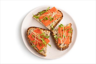 Grain bread sandwiches with red tomato cheese and mizuna cabbage microgreen isolated on white