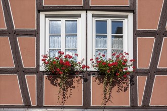 Window with floral decoration, half-timbered house, Rhineland-Palatinate, Germany, Europe