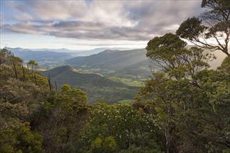 In Lamington National Park. View of Limpinwood Nature Reserve and Mt Warning, Wollumbin National