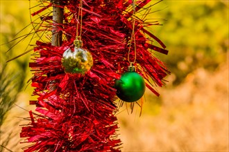 Green and gold Christmas ornaments and red tensile garland hanging on pine tree in local park in