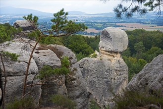 Nature view with imposing rocks and trees in front of a cloudy sky, Hruboskalske skalni mesto,