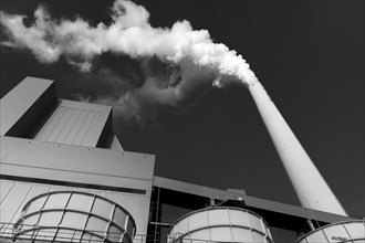 Symbolic image, energy turnaround, large power plant Mannheim, fossil fuels, smoking chimney,