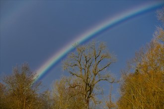 Rainbow at the confluence of the Breg and Brigach rivers to form the Danube, source of the Danube,
