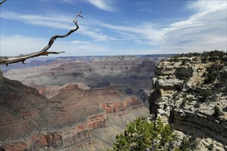 South Rim, view into the Grand Canyon, Arizona, USA, North America