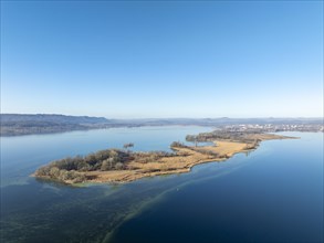 Aerial view of the Mettnau peninsula on a clear winter day, on the right on the horizon the town of