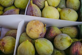 Ripe figs in a small box for sale, Southern Palatinate, Palatinate, Rhineland-Palatinate, Germany,