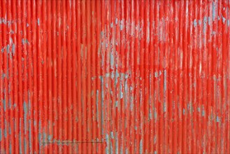 Red painted corrugated iron wall, abandoned herring factory Djupavik, Reykjarfjoerour, Strandir,