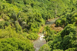 River near Tegenungan waterfall, Bali island, Ubud, Indonesia. Jungle, tropical forest, daytime