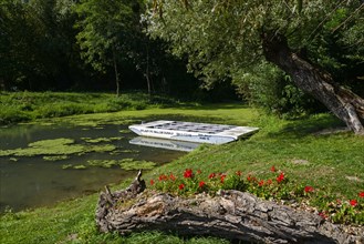 Ship next to a quiet arm of the Little Danube surrounded by green nature and red flowers,
