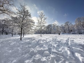 English Garden after heavy snowfall, Munich, Bavaria, Germany, Europe