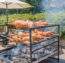 Outdoor pig roast with large spits turning over a charcoal grill at a food event