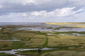 National Park Duinen van Texel, dunes of Texel, North Sea island of Texel, West Frisian island,
