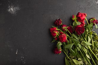 Withered, decaying, roses flowers on black concrete background. top view, flat lay, copy space,