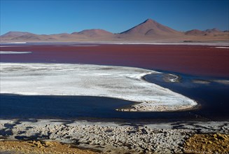 Laguna Colorado, NP Eduardo Avaroa Bolivia