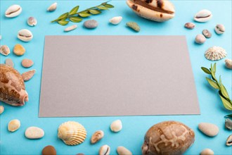 Composition with gray paper sheet, seashells, green boxwood. mockup on blue pastel background.