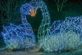 Two swan figurines made of wire and white Christmas lights kissing in a public park in Yeosu, South