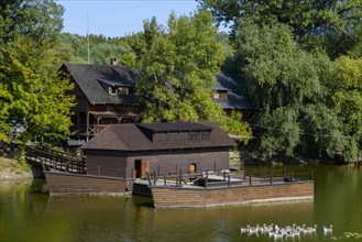 Museum of the watermill, surrounded by trees with geese in front of it, Kolarovo Ship Mill,