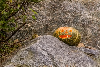 Jack-O-Lantern with flame visible inside sitting on large boulder next to pine tree in South Korea