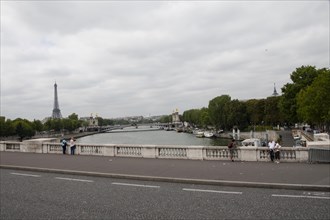 Seine Pont Alexandre III in the background Paris France