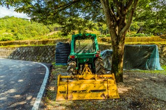 Green tractor with yellow cutting attachment parked under a large shade tree next to a paved road