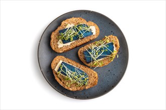 Bread sandwiches with blue lavender cheese and mustard microgreen isolated on white background. top
