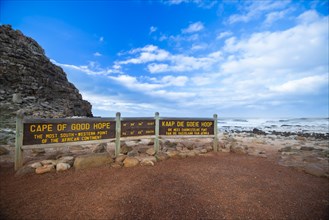Shield, Cape of Good Hope, Cape of Good Hope, Western Cape, Republic of South Africa