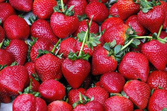 Organic strawberries, fruit sale Farmers Market, Crocker Galleria, Financial District, San