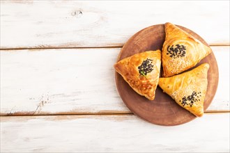 Homemade asian pastry samosa on white wooden background. top view, flat lay, copy space