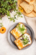 White bread sandwiches with cream cheese, calendula petals and microgreen radish and tagetes on