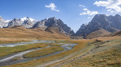 Mountain landscape with yellow meadows and river Kol Suu, mountain peak with glacier, hike to the