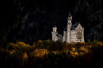 New Schwanstein Castle with colourful autumn leaves, Schwangau, Ostallgaeu, Swabia, Bavaria,