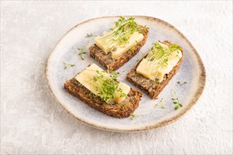 Grain bread sandwiches with cheese and watercress microgreen on gray concrete background. side