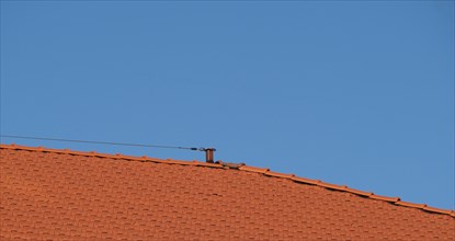 Roof safety lifeline