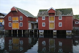 Traditional harbour buildings in fishing village of Rorvik, Norway, Europe