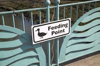 Duck feeding point, River Avon bridge, Chippenham, Wiltshire, England, UK