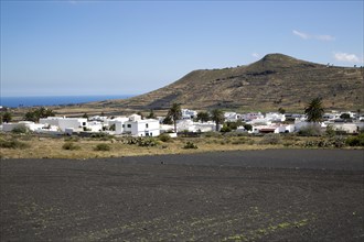 View over cactus black soil field and whitewashed houses, village of Maguez, Lanzarote, Canary
