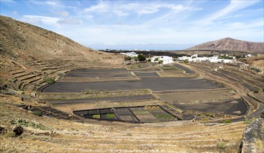 Volcano crater and black volcanic soil farmland, near Tinajo, Lanzarote, Canary Islands, Spain,
