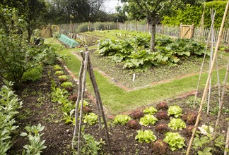 Vegetable plot at Potager Garden, Constantine, Cornwall, England, UK