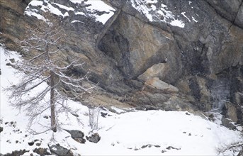 View of chamois (Rupicapra rupicapra) perfectly camouflaged in their environment, Gran Paradiso
