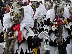 Cat figure, parade of the Swabian-Alemannic carnival in Villingen-Schwenningen, Baden-Württemberg,