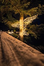 A tree at night decorated with a string of lights in the shape of a deer, magical forest dwellers,