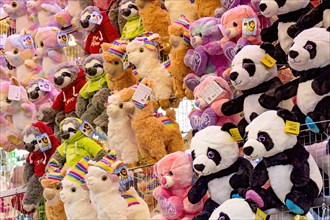 Panda bears and cuddly toys, stuffed animals, prizes, raffle prizes, lucky draw, lottery stand,