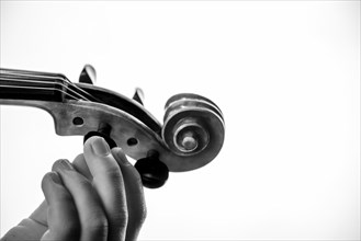 Child's hand tuning viola, black and white photo, studio shot, white background, Germany, Europe
