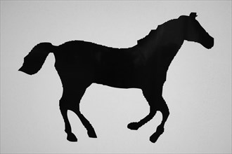 Symbol photo horse, black and white, North Rhine-Westphalia, Germany, Europe