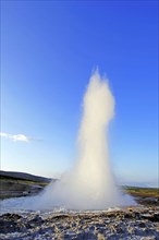 The geyser Strokkur fires steam and boiling water up to a height of around 20m, at Storr Geysir,