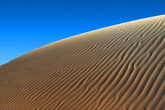 Sand-dunes in the desert of Oman near the border with Saudi Arabia. Sanddünen in Oman, Saudi