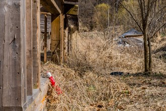 Red plastic bottle in dry weeds resting against wooden sill of abandoned building