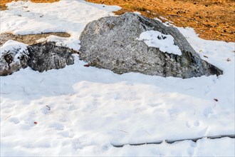 Large boulder on snow covered ground in wilderness park in South Korea