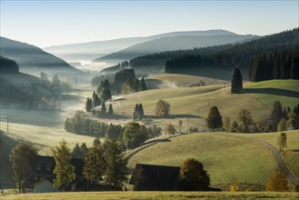 Morning mist, morning mood, sunrise, Jostal, near Neustadt, Black Forest, Baden-Wuerttemberg,